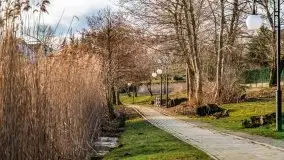 Narodziny nowego dnia w Wydminach, kwiecień 2021 - zdjęcie 51