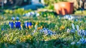 Narodziny nowego dnia w Wydminach, kwiecień 2021 - zdjęcie 34