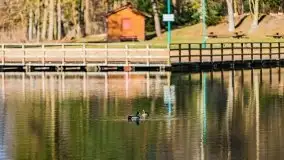 Narodziny nowego dnia w Wydminach, kwiecień 2021 - zdjęcie 47