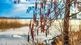 Przedwiosenny zachód słońca w porcie Kal, jezioro Mamry - zdjęcie 28