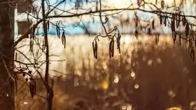 Przedwiosenny zachód słońca w porcie Kal, jezioro Mamry - zdjęcie 16