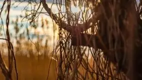 Przedwiosenny zachód słońca w porcie Kal, jezioro Mamry - zdjęcie 31