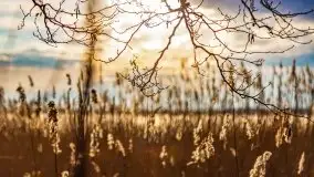 Przedwiosenny zachód słońca w porcie Kal, jezioro Mamry - zdjęcie 21