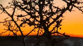 Po-zachód słońca przy wsi Upałty - zdjęcie 15