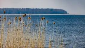 Śluza Karwik na początku wiosny 2021 - zdjęcie 27