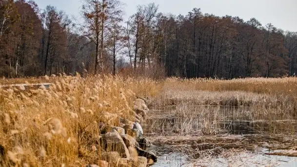 Śluza Karwik na początku wiosny 2021 - zdjęcie 5