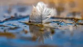 Przedwiośnie przy rzece Białoławka, marzec 2021 - zdjęcie 4