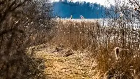 Przedwiośnie przy rzece Białoławka, marzec 2021 - zdjęcie 12