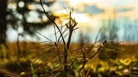 Kwietniowy deszczowy zachód słońca nad jeziorem Kruklin - zdjęcie 19