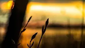 Kwietniowy deszczowy zachód słońca nad jeziorem Kruklin - zdjęcie 36