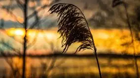 Kwietniowy deszczowy zachód słońca nad jeziorem Kruklin - zdjęcie 15