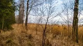 Kwietniowy wschód słońca nad jeziorem Kruklin - zdjęcie 3