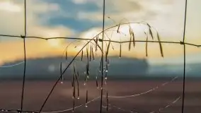 Kwietniowy wschód słońca nad jeziorem Kruklin - zdjęcie 14