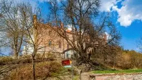 Kwietniowy i wiosenny Ryn 2021 - zdjęcie 18