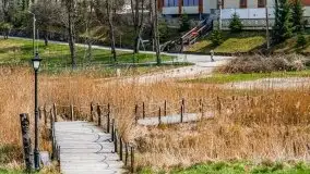 Kwietniowy i wiosenny Ryn 2021 - zdjęcie 31