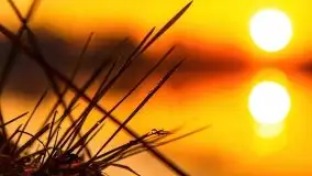 Wiosenny wschód słońca nad jeziorem Stręgiel - zdjęcie 37