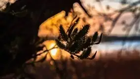 Wiosenny wschód słońca nad jeziorem Pozezdrze - zdjęcie 29