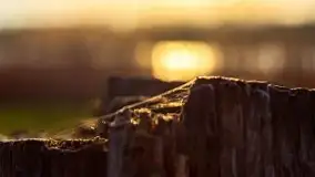 Wiosenny wschód słońca nad jeziorem Pozezdrze - zdjęcie 25