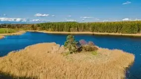 Piecki, ścieżka edukacyjna wokół stawu - zdjęcie 3