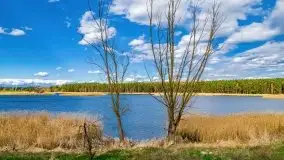 Piecki, ścieżka edukacyjna wokół stawu - zdjęcie 10