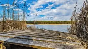 Piecki, ścieżka edukacyjna wokół stawu - zdjęcie 79