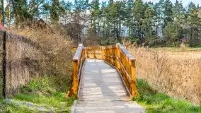 Piecki, ścieżka edukacyjna wokół stawu - zdjęcie 27