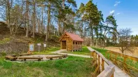 Piecki, ścieżka edukacyjna wokół stawu - zdjęcie 73