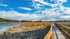 Piecki, ścieżka edukacyjna wokół stawu - zdjęcie 68