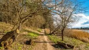 Piecki, ścieżka edukacyjna wokół stawu - zdjęcie 54