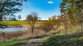 Piecki, ścieżka edukacyjna wokół stawu - zdjęcie 62