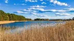 Piecki, ścieżka edukacyjna wokół stawu - zdjęcie 66