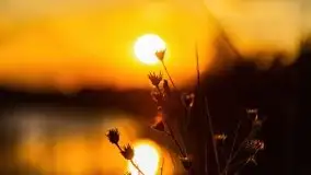 Zachód słońca nad jeziorem Wojnowo - zdjęcie 31