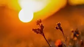 Majowy wschód słońca nad jeziorem Wojnowo - zdjęcie 13