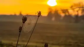 Majowy wschód słońca nad jeziorem Wojnowo - zdjęcie 51