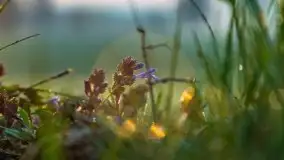 Majowy wschód słońca nad jeziorem Wojnowo - zdjęcie 35