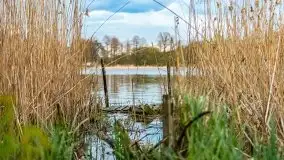 Majowy wieczór z mazurską przyrodą - zdjęcie 3