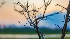 Majowy wieczór z mazurską przyrodą - zdjęcie 27