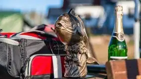 Fotorelacja z charytatywnych zawodów wędkarskich - zdjęcie 12