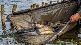 Fotorelacja z charytatywnych zawodów wędkarskich - zdjęcie 172