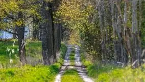 Wiosenne widoki z okolic Sztynortu, maj 2021 - zdjęcie 7