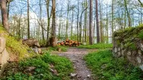 Wiosenne widoki z okolic Sztynortu, maj 2021 - zdjęcie 17