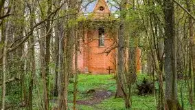 Wiosenne widoki z okolic Sztynortu, maj 2021 - zdjęcie 62