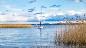 Wiosenne widoki z okolic Sztynortu, maj 2021 - zdjęcie 27