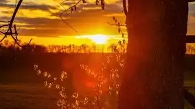 Wiosenne widoki z okolic Sztynortu, maj 2021 - zdjęcie 72