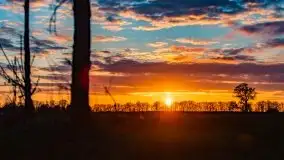 Wiosenne widoki z okolic Sztynortu, maj 2021 - zdjęcie 55