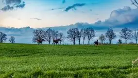 Wiosenne widoki z okolic Sztynortu, maj 2021 - zdjęcie 59