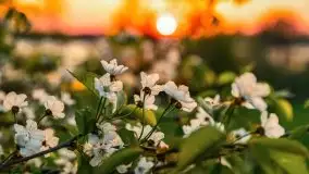 Majowy zachód słońca w porcie Trygort - zdjęcie 10