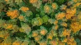 Zachód słońca nad jeziorem Święcajty, maj 2021 - zdjęcie 4