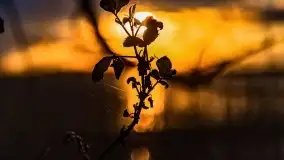 Zachód słońca nad jeziorem Święcajty, maj 2021 - zdjęcie 17