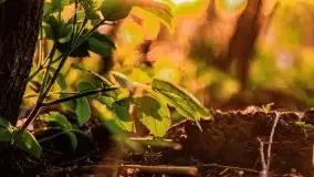 Zachód słońca nad jeziorem Święcajty, maj 2021 - zdjęcie 10